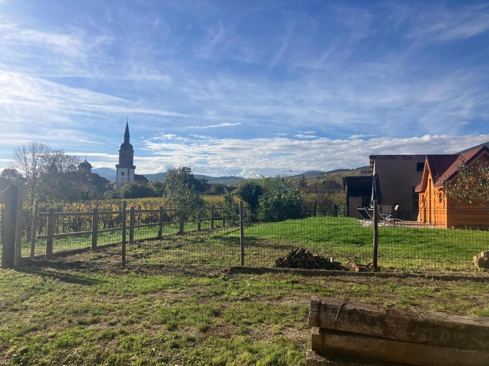 Domaine Rosfelder - Locations De Gite Et Cabane Insolite Gertwiller Exterior foto